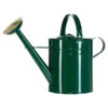 Zink-Gießkanne, 9 L, Grün 1 Zink-Gießkanne, 9 L, Grün -Pflanzenglück Geschäft 1241272 BildFS 001 BlechgiesskanneFuerDenGartenBlechgiesskanneGruen9L
