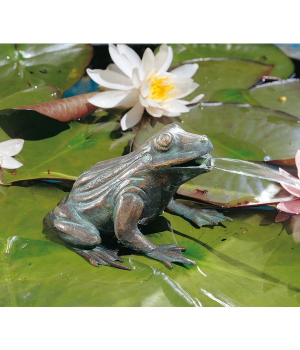 Rottenecker Bronzefigur Frosch 4 Rottenecker Bronzefigur Frosch – Bild 2