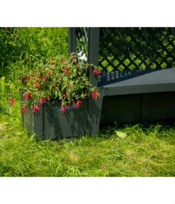 KHW Kunststoff-Gartenbank Mit Rosenbogen Amsterdam, Ca. B174/H207/T49 Cm -Pflanzenglück Geschäft 2548717 WE DE 002 BankAmsterdammanthrazit