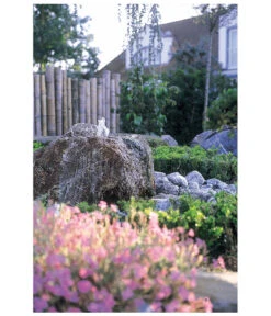 Oase Pumpe Aquarius Universal Classic 1500 -Pflanzenglück Geschäft 2959476 WE MO 003 AquariusUniversalClassic