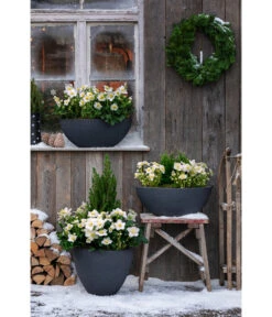 Dehner Kunststoff-Schale Miami, Rund, Anthrazit, Ca. Ø52/H20 Cm 20 Dehner Kunststoff-Schale Miami, Rund, Anthrazit, Ca. Ø52/H20 Cm -Pflanzenglück Geschäft 3694254 3693926 WE MO 001 KunststoffTopfStonekonischanthrazit