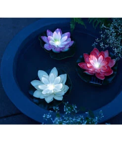 Dehner Kunststoff-Schale Miami, Rund, Anthrazit, Ca. Ø52/H20 Cm 18 Dehner Kunststoff-Schale Miami, Rund, Anthrazit, Ca. Ø52/H20 Cm -Pflanzenglück Geschäft 4032041 4032108 4032116 WE MO 001 DehnerSolarSeerosen