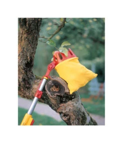 Wolf-Garten Wolf Multi-star® Obstpflücker RG-M -Pflanzenglück Geschäft 4039178 WE MO 002 WolfObstpfluecker