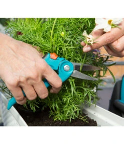 GARDENA City Gardening Balkonschere 9 GARDENA City Gardening Balkonschere -Pflanzenglück Geschäft 4058293 WE MO 001 GARDENABalkonschere
