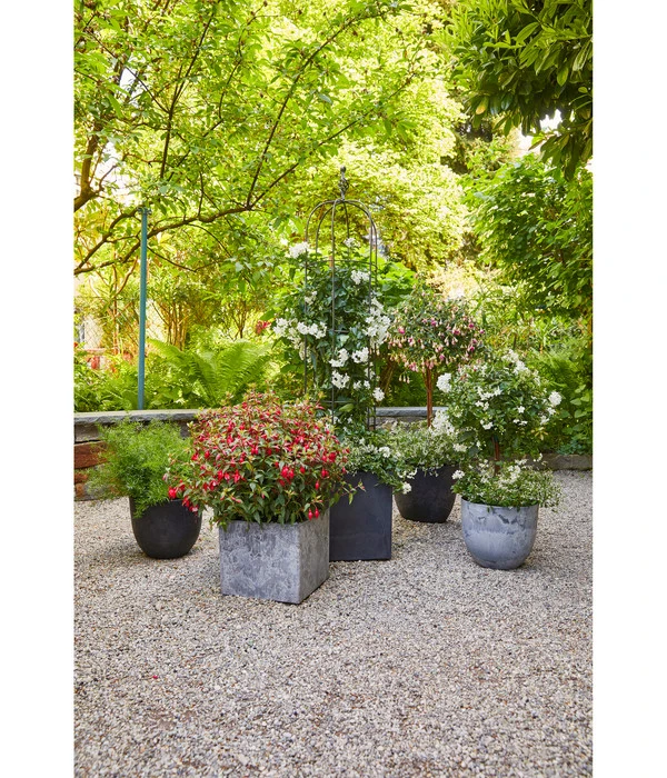 Dehner Obelisk Classic 4 Dehner Obelisk Classic – Bild 2