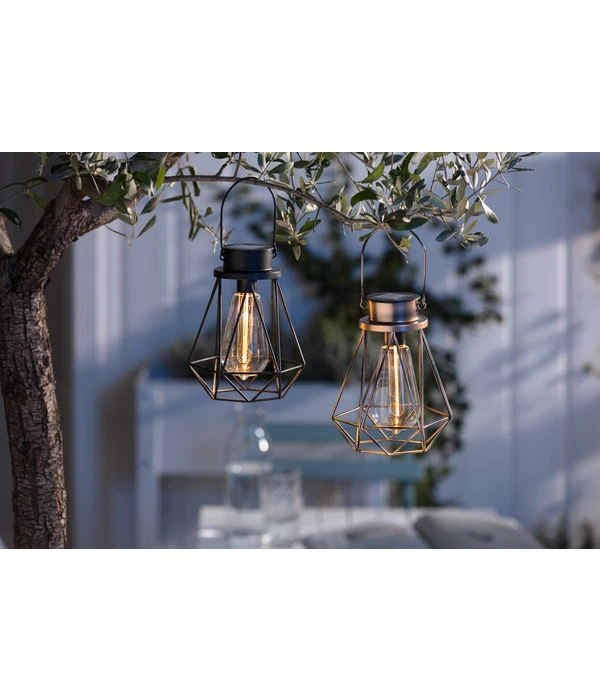 Dehner Solar-Drahtglühbirne Blackora, Ca. Ø16/H20 Cm 4 Dehner Solar-Drahtglühbirne Blackora, Ca. Ø16/H20 Cm – Bild 2