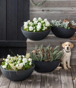 Dehner Kunststoff-Schale Miami, Rund, Anthrazit, Ca. Ø52/H20 Cm 24 Dehner Kunststoff-Schale Miami, Rund, Anthrazit, Ca. Ø52/H20 Cm -Pflanzenglück Geschäft 5181409 8808008 8829541 WE MO 001 WinterbluehenBL192021