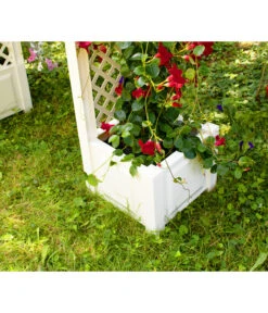 KHW Kunststoff-Rosenbogen, Ca. B174/H207/T43 Cm 12 KHW Kunststoff-Rosenbogen, Ca. B174/H207/T43 Cm -Pflanzenglück Geschäft 5344221 WE DE 001 RosenbogenKastenweiss