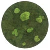 StyleGREEN Bild Aus Wald- Und Kugelmoos, Kreisförmig, Ca. Ø54 Cm 1 StyleGREEN Bild Aus Wald- Und Kugelmoos, Kreisförmig, Ca. Ø54 Cm -Pflanzenglück Geschäft 6429757 WE FS 001 Wald KugelmoosbildD54cm