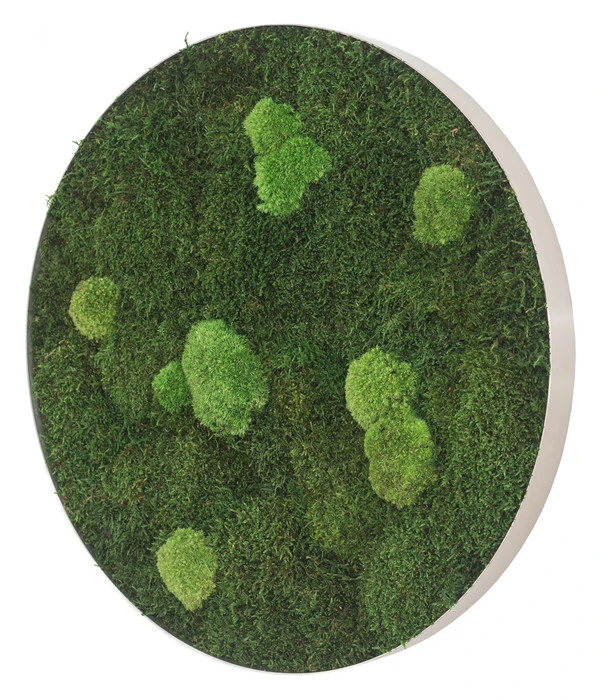 StyleGREEN Bild Aus Wald- Und Kugelmoos, Kreisförmig, Ca. Ø54 Cm 4 StyleGREEN Bild Aus Wald- Und Kugelmoos, Kreisförmig, Ca. Ø54 Cm – Bild 2