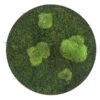 StyleGREEN Bild Aus Wald- Und Kugelmoos, Kreisförmig, Ca. Ø34 Cm 1 StyleGREEN Bild Aus Wald- Und Kugelmoos, Kreisförmig, Ca. Ø34 Cm -Pflanzenglück Geschäft 6429765 WE FS 001 Wald KugelmoosbildD34cm