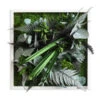 StyleGREEN Bild Im Dschungeldesign, Quadratisch, Ca. B35/H35/T16 Cm 2 StyleGREEN Bild Im Dschungeldesign, Quadratisch, Ca. B35/H35/T16 Cm -Pflanzenglück Geschäft 6429864 WE FS 001 Pflanzenbild35x35cmStylegreen