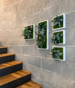 StyleGREEN Bild Im Dschungeldesign, Quadratisch, Ca. B35/H35/T16 Cm -Pflanzenglück Geschäft 6429864 WE MO 002 Pflanzenbild35x35cmStylegreen