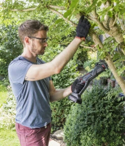 AL-KO Akku-Säbelsäge PS 1815, Inkl. Akku -Pflanzenglück Geschäft 6674527 WE MO 004 AkkuSaebelsaegePS1815