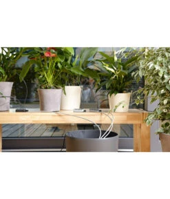 Pflanzenglück Geschäft 43 Pflanzenglück Geschäft -Pflanzenglück Geschäft 6749121 WE MO 001 GARDENAUrlaubsbewaesserungCityGardening 1