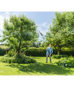 Pflanzenglück Geschäft 34 Pflanzenglück Geschäft -Pflanzenglück Geschäft 6943187 WE MO 001 HochentasterCSA1820