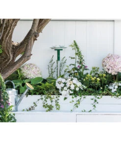 Dehner Natura Vogeltränke CLiCK, Ca. B22,5/H6,5/T21 Cm -Pflanzenglück Geschäft 6968366 WE MO 002 NaturaClickVogeltraenke