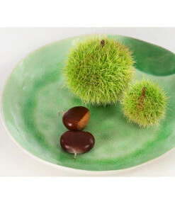 Esskastanie 9 Esskastanie -Pflanzenglück Geschäft 7091580 PR DE 002 CastaneaSativaEsskastanieDehnerExpressHerzig