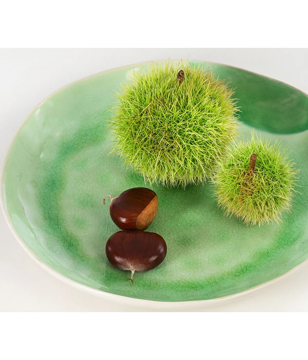 Esskastanie 6 Esskastanie – Bild 4