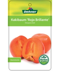 Dehner Kaki 'Rojo Brillante' - Kaki-Pflaume 'Rojo Brillante' -Pflanzenglück Geschäft 7167414 KakiRojoBrillante Etikett 01