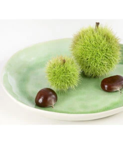 Esskastanie 'Bouche De Betizac' -Pflanzenglück Geschäft 7621998 PR DE 002 CastaneaSativaBetizacEsskastanieDehnerExpressHerzig