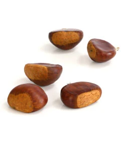 Esskastanie 'Bouche De Betizac' -Pflanzenglück Geschäft 7621998 WE DE 003 EsskastanieMaroneCastaneaSativaDehnerExpressHerzig