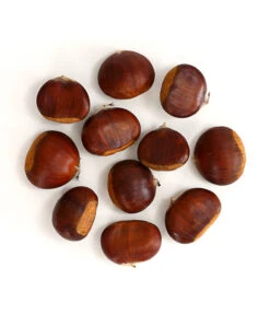 Esskastanie 'Bouche De Betizac' -Pflanzenglück Geschäft 7621998 WE FS 003 EsskastanieMaroneCastaneaSativaDehnerExpressHerzig