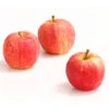 Herbstapfel 'Gala' 2 Herbstapfel 'Gala' -Pflanzenglück Geschäft 7645880 WE DE 005 ApfelGalaDehnerExpressHerzig