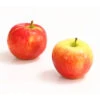 Herbstapfel 'Gerlinde' 2 Herbstapfel 'Gerlinde' -Pflanzenglück Geschäft 7648413 WE DE 003 ApfelGerlindeDehnerExpressHerzig