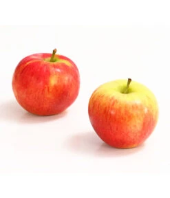 Herbstapfel 'Gerlinde'