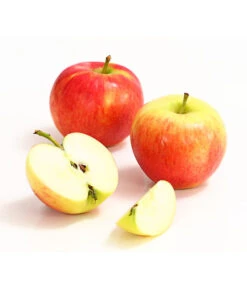 Herbstapfel 'Gerlinde' 6 Herbstapfel 'Gerlinde' -Pflanzenglück Geschäft 7648413 WE DE 004 ApfelGerlindeDehnerExpressHerzig