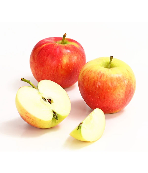 Herbstapfel 'Gerlinde' 4 Herbstapfel 'Gerlinde' – Bild 2