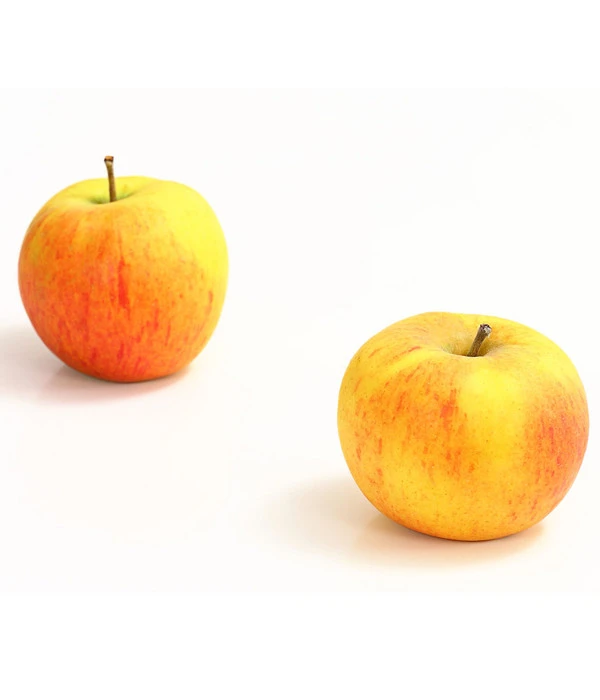 Winterapfel 'Goldparmäne' 3 Winterapfel 'Goldparmäne'