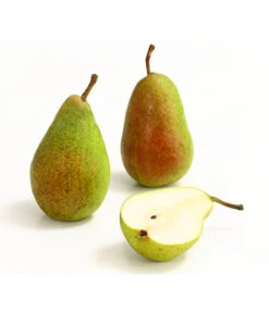 Sommerbirne 'Gute Luise' -Pflanzenglück Geschäft 7658578 WE DE 006 BirneGuteLuiseDehnerExpressHerzig