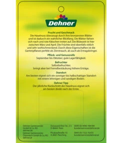 Dehner Haselnuss 'Rote Zellernuss' -Pflanzenglück Geschäft 7663073 HaselnussRoteZellernuss Etikett 2