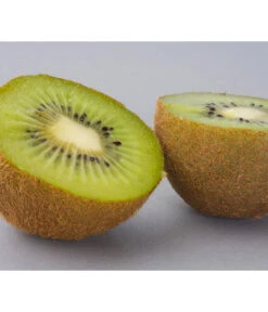 Dehner Kiwi 'Hayward', Weiblich -Pflanzenglück Geschäft 7664394 WE DE 003 KiwiHaywardPixabay