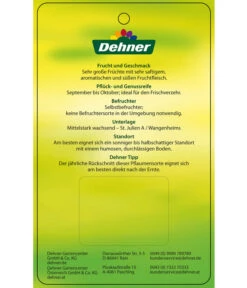 Dehner Pflaume 'Königin Viktoria' -Pflanzenglück Geschäft 7702558 PflaumeKoeniginVictoria Etikett 2