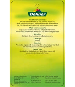 Nashi-Birne 'Nijiseiki' -Pflanzenglück Geschäft 7719826 Nashi BirneNijiseiki Etikett 2