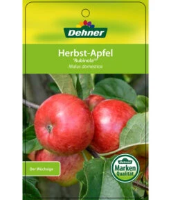 Herbstapfel 'Rubinola' -Pflanzenglück Geschäft 7747165 HerbstapfelRubinola Etikett 1