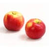 Allergikerapfel 'Santana' -Pflanzenglück Geschäft 7750631 WE DE 003 ApfelSantanaDehnerExpressHerzig