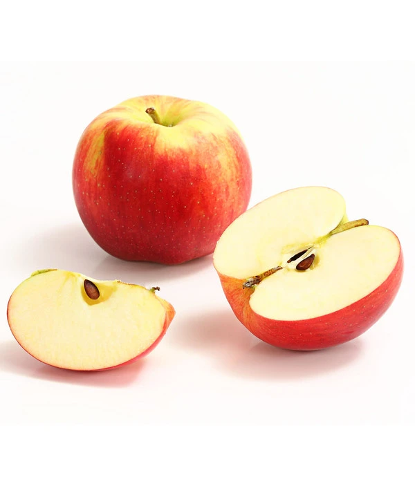 Allergikerapfel 'Santana' 4 Allergikerapfel 'Santana' – Bild 2