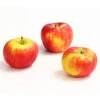 Herbstapfel 'Topaz' 2 Herbstapfel 'Topaz' -Pflanzenglück Geschäft 7763931 WE DE 007 ApfelTopazDehnerExpressHerzig