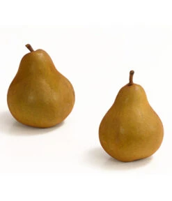 Winterbirne 'Uta' -Pflanzenglück Geschäft 7769854 WE DE 003 BirneUtaDehnerExpressHerzig