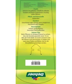 Tafeltraube 'Katharina' -Pflanzenglück Geschäft 7773716 TafeltraubeKatharina Etikett 2