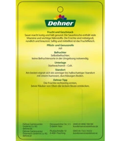 Sauerkirsche 'Vowi' 9 Sauerkirsche 'Vowi' -Pflanzenglück Geschäft 7773757 SauerkirscheVowi Etikett 2