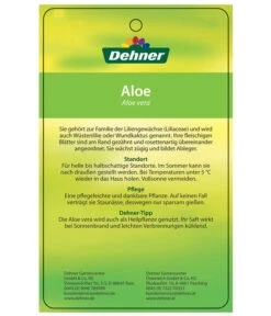 Echte Aloe-Set - Aloe Vera -Pflanzenglück Geschäft 7976202 AloeVeraEtikett2