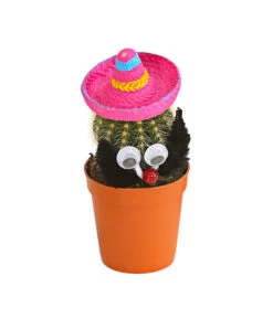 Kaktus Mit Sombrero - Cactaceae, Verschiedene Sorten -Pflanzenglück Geschäft 7977291 WE FS 002 KaktusPinkMitSombreroDehnerExpressHerzig