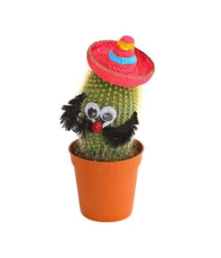 Kaktus Mit Sombrero - Cactaceae, Verschiedene Sorten -Pflanzenglück Geschäft 7977291 WE PR 003 KaktusRotMitSombreroDehnerExpressHerzig