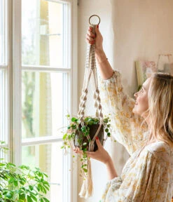 Peperomie - Peperomia 'Pepperspot' -Pflanzenglück Geschäft 8252173 WE MO 001 PeperomiePepperspotMakrameeAmpel