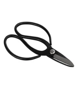 Bonsai Chinesischer Feigenbaum - Ficus Retusa, Anfänger-Set, 10 Jahre 9 Bonsai Chinesischer Feigenbaum - Ficus Retusa, Anfänger-Set, 10 Jahre -Pflanzenglück Geschäft 8561573 WE FS 002 SchereSetBonsai